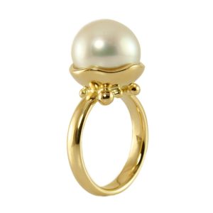 Venus - A South Sea beauty in its shell.